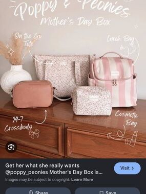 NWT Poppy & Peonies 24/7 Crossbody bag in Mocha Mousse
